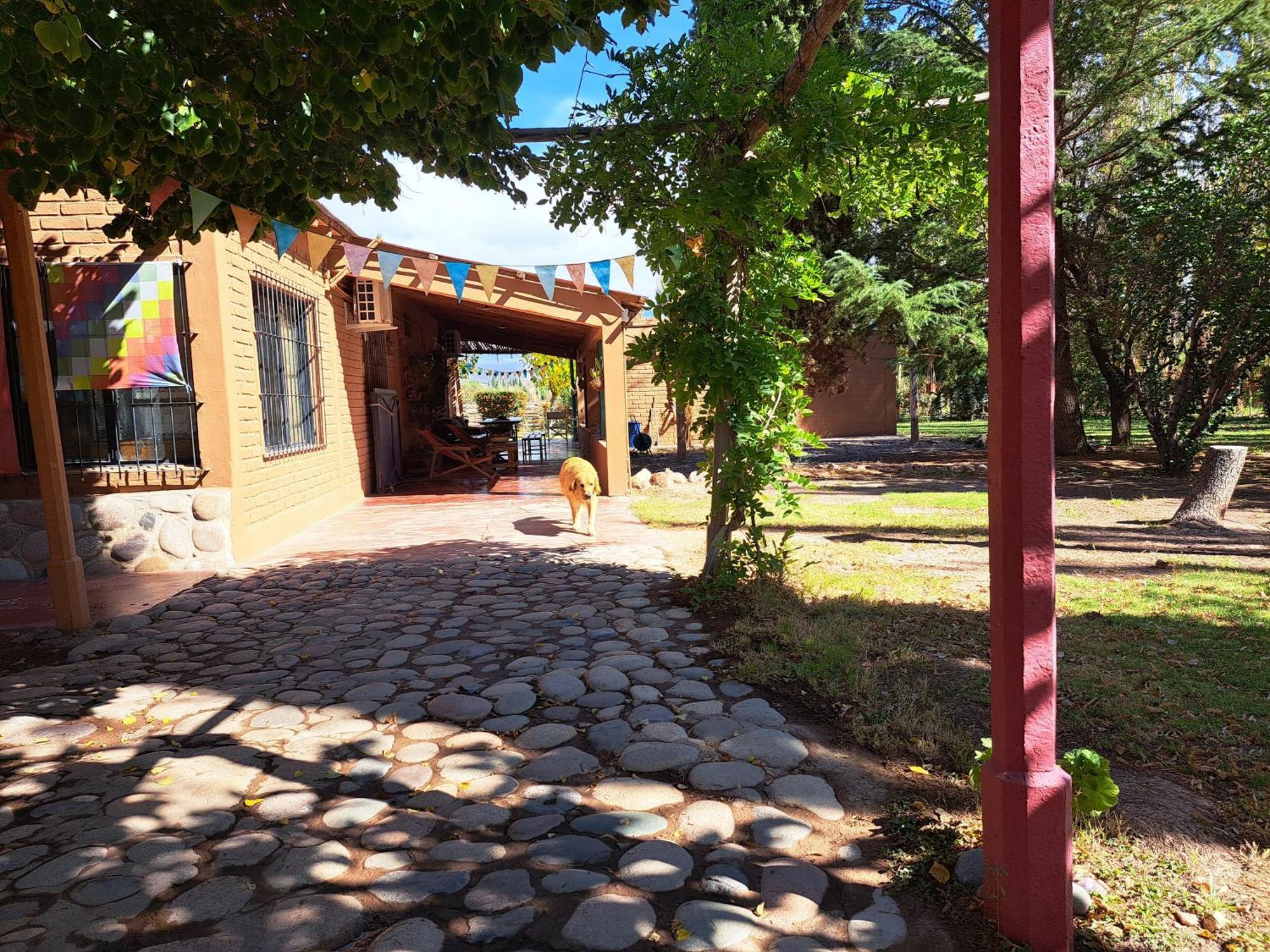 Aire De Barreal Hostel Andino Exterior photo